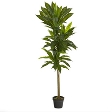 56" Artificial Dracaena Plant (Real Touch) - Low Maintenance, Life-Like & Vibrant Silk Plants For Busy People.