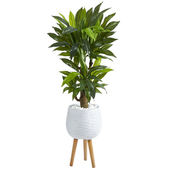 46" Artificial Corn Stalk Dracaena Plant in White Planter with Stand (Real Touch) - Low Maintenance, Life-Like & Vibrant Silk Plants For Busy People.