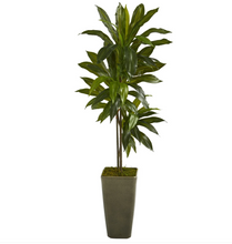 54" Artificial Dracaena Plant in Green Planter (Real Touch) - Low Maintenance, Life-Like & Vibrant Silk Plants For Busy People.