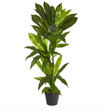 3' Artificial Dracaena Plant (Real Touch) - Low Maintenance, Life-Like & Vibrant Silk Plants For Busy People.