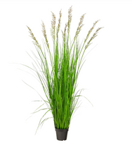 5.5' Artificial Plum Grass Plant - Low Maintenance, Life-Like & Vibrant Silk Plants For Busy People.