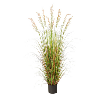 5.5' Artificial Plum Grass Plant - Low Maintenance, Life-Like & Vibrant Silk Plants For Busy People.