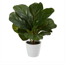 11" Artificial Fiddle Leaf Plant in White Planter (Real Touch) - Low Maintenance, Life-Like & Vibrant Silk Plants For Busy People.