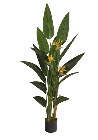 6' Artificial Bird of Paradise Plant - Low Maintenance, Life-Like & Vibrant Silk Plants For Busy People.