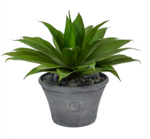 22" Artificial Agave Succulent Plant in Gray Planter - Low Maintenance, Life-Like & Vibrant Silk Plants For Busy People.