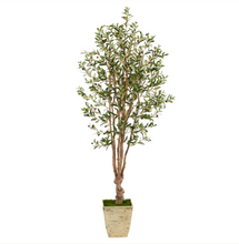 6.5' Artificial Olive Tree in Country White Planter - Low Maintenance, Life-Like & Vibrant Silk Trees For Busy People.