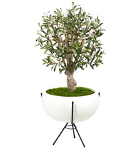 3' Olive Artificial Tree in White Planter with Metal Stand - Low Maintenance, Life-Like & Vibrant Silk Trees For Busy People.