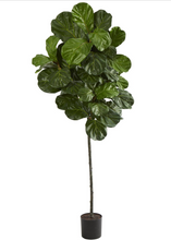 6.5' Artificial Fiddle Leaf Tree - Low Maintenance, Life-Like & Vibrant Silk Trees For Busy People.