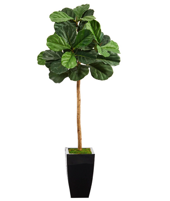 50" Artificial Fiddle Leaf Tree in Black Metal Planter - Low Maintenance, Life-Like & Vibrant Silk Trees For Busy People.