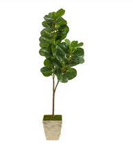5.5' Artificial Fiddle leaf Fig Tree in Country White Planter - Low Maintenance, Life-Like & Vibrant Silk Trees For Busy People.