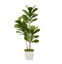 5.5' Artificial Fiddle Leaf Tree in White Metal Planter UV Resistant (Indoor/Outdoor) - Low Maintenance, Life-Like & Vibrant Silk Trees For Busy People.