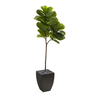 5.5' Artificial Fiddle Leaf Tree in Black Planter (Real Touch) - Low Maintenance, Life-Like & Vibrant Silk Trees For Busy People.