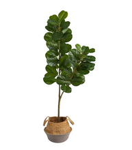 4.5' Artificial Fiddle Leaf Fig Tree with Boho Chic Handmade Cotton and Jute White Woven Planter - Low Maintenance, Life-Like & Vibrant Silk Trees For Busy People.