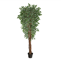 70" Artificial Variegated Ficus Tree UV Resistant (Indoor/Outdoor) - Low Maintenance, Life-Like & Vibrant Silk Trees For Busy People.