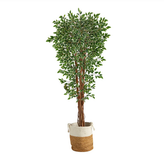 70" Artificial Variegated Ficus Tree in Handmade Natural Jute and Cotton Planter UV Resistant (Indoor/Outdoor) - Low Maintenance, Life-Like & Vibrant Silk Trees For Busy People.