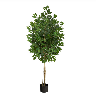 64" Artificial Ficus Tree UV Resistant (Indoor/Outdoor) - Low Maintenance, Life-Like & Vibrant Silk Trees For Busy People.